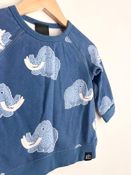 Whistle and Flute Woolly Mammoth Sweatshirt • 12-18 months