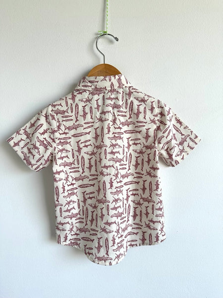 Eddie Bauer Fish Button up • 2 years