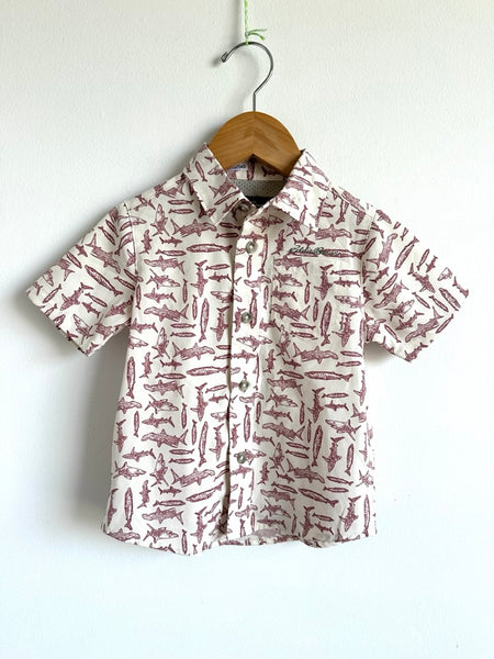 Eddie Bauer Fish Button up • 2 years
