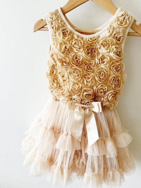 Popatu Tulle Rosette Dress • 2-3 years