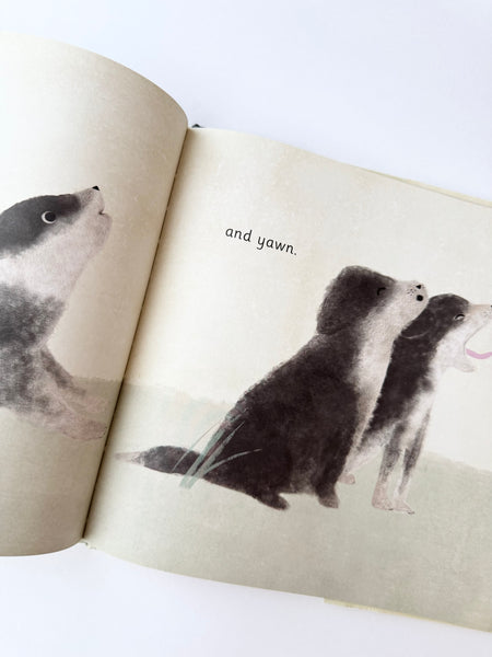 We All Play Hardcover Book