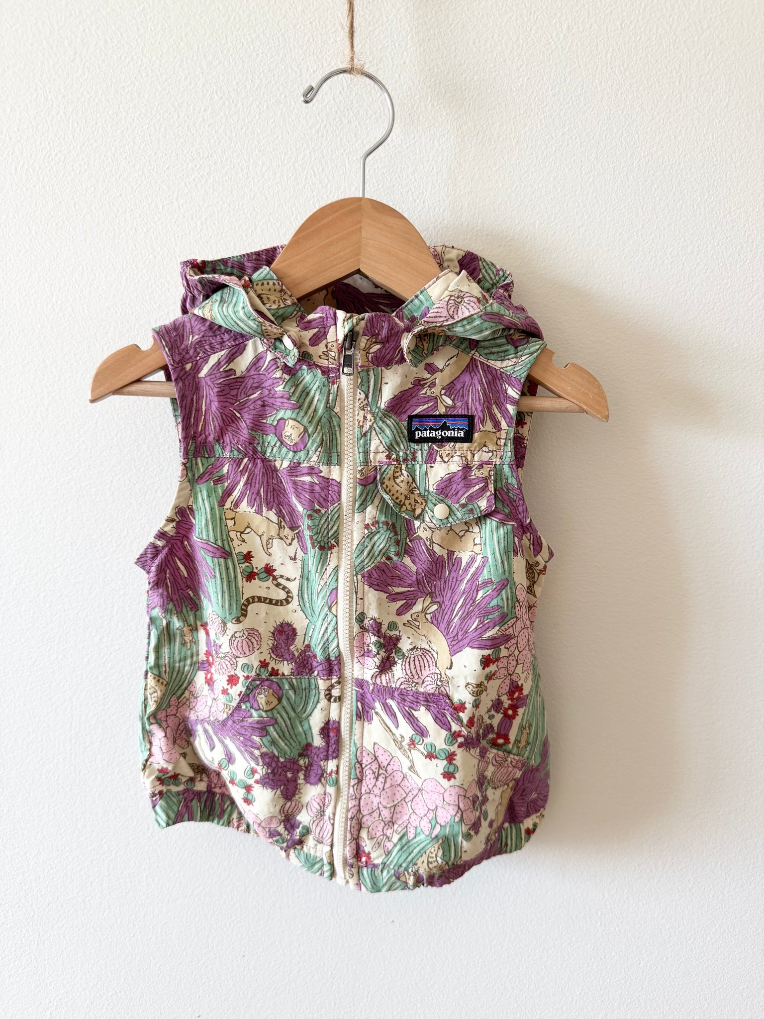 Patagonia Purple Desert Cactus Vest • 2-3 years