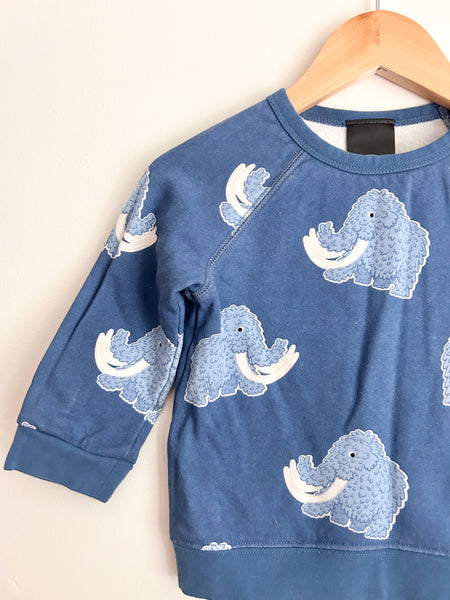 Whistle and Flute Woolly Mammoth Sweatshirt • 12-18 months