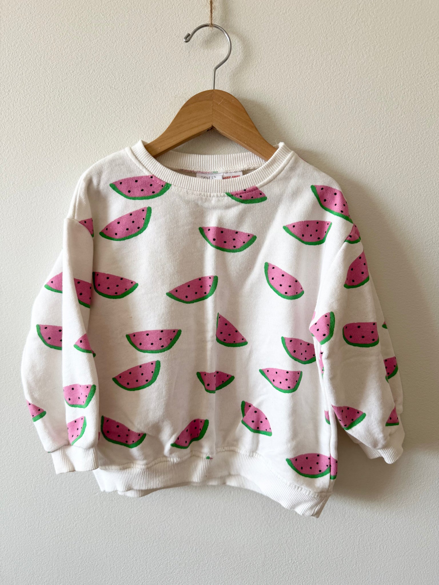 Zara Watermelon Crewneck Sweater • 3-4 years