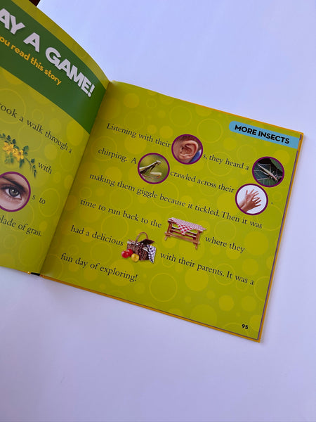 National Geographic Little Kids Bug Book