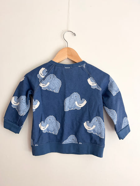 Whistle and Flute Woolly Mammoth Sweatshirt • 12-18 months