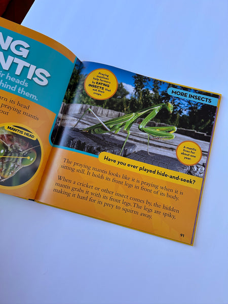 National Geographic Little Kids Bug Book
