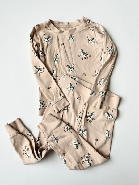 Petit Lem 2pc Cat Jammies • 2 years
