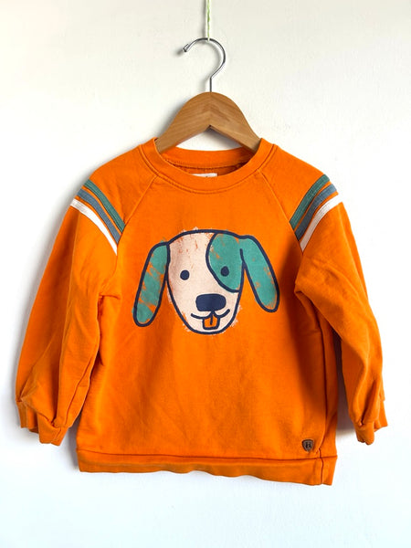 Hatley Orange Dog Crew Neck • 4 years