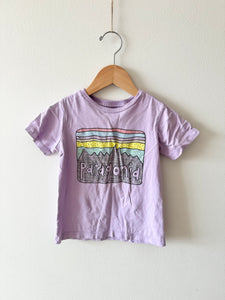 Patagonia Purple T-Shirt • 3 years