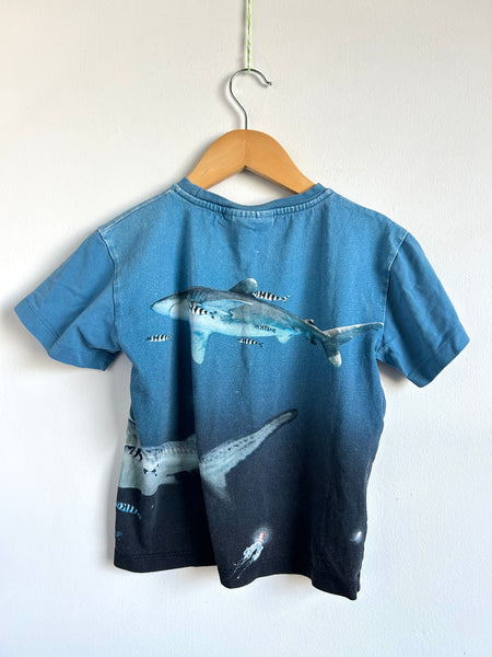Molo Under the Sea T-Shirt • 5-6 years