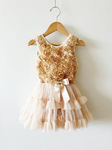 Popatu Tulle Rosette Dress • 2-3 years