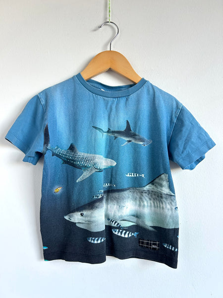 Molo Under the Sea T-Shirt • 5-6 years