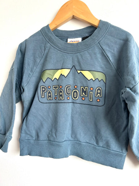 Patagonia Blue Long Sleeve Sweatshirt • 2-3 years