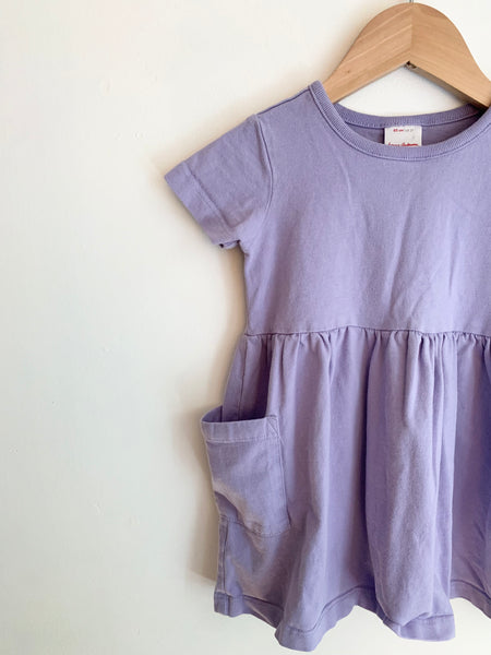 Hanna Andersson Purple Dress • 2 years