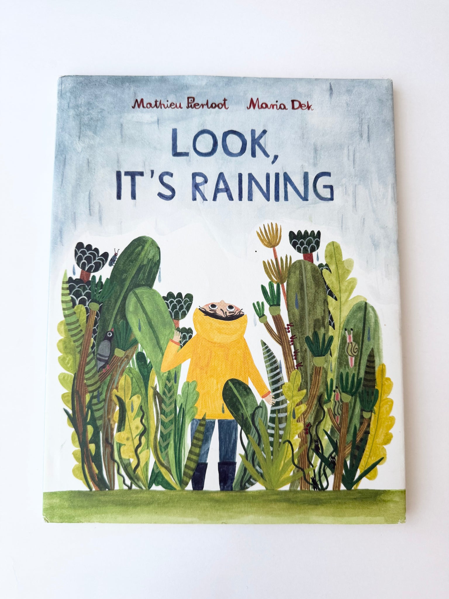 Look, It's Raining Hardcover Book