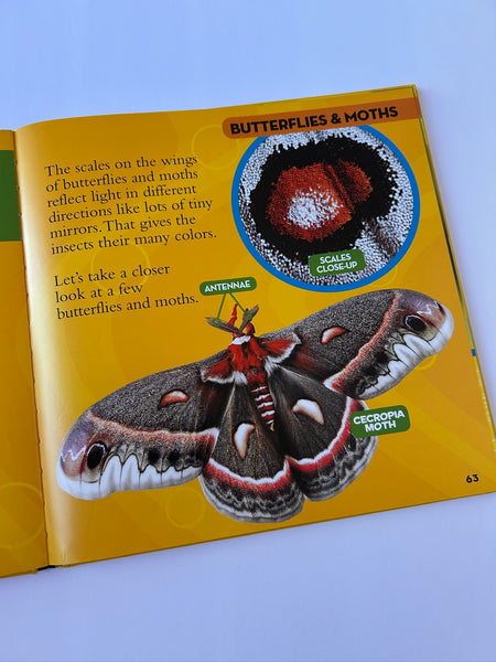 National Geographic Little Kids Bug Book