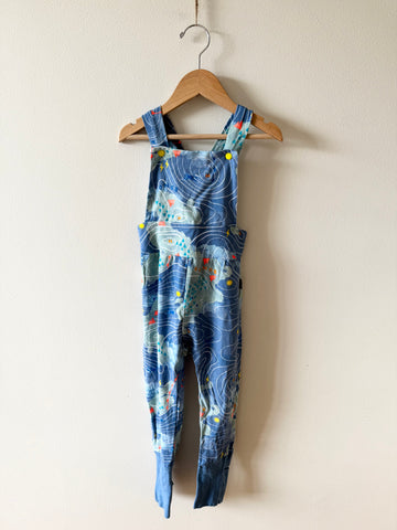 Bonds Upcycled Topography Overalls • 3 years