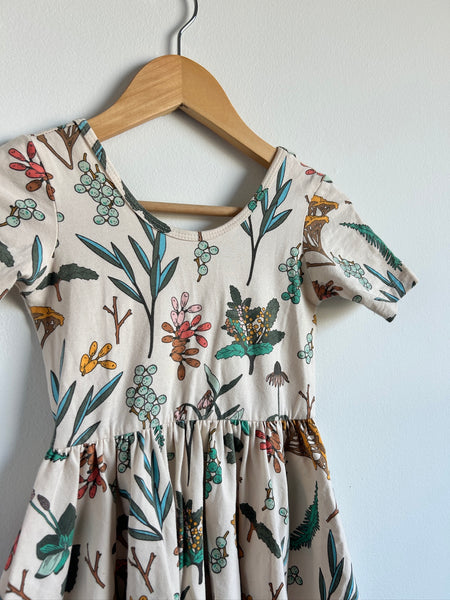 Alice and Ames Botany Dress • 6-7 years