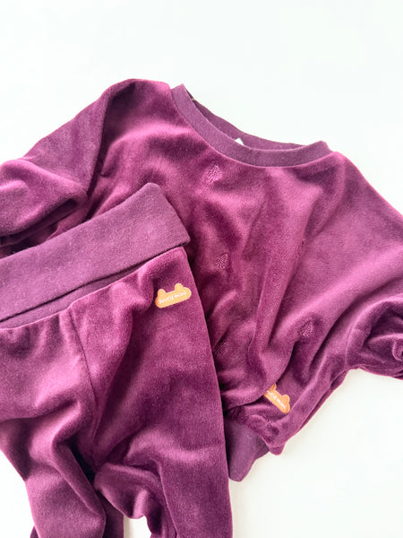 Souris Mini 2pc Purple Velvet Set • 0-3 months