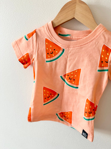 NEW Whistle and Flute Watermelon T-Shirt • 6-12 months