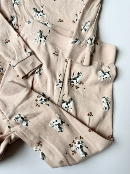 Petit Lem 2pc Cat Jammies • 2 years
