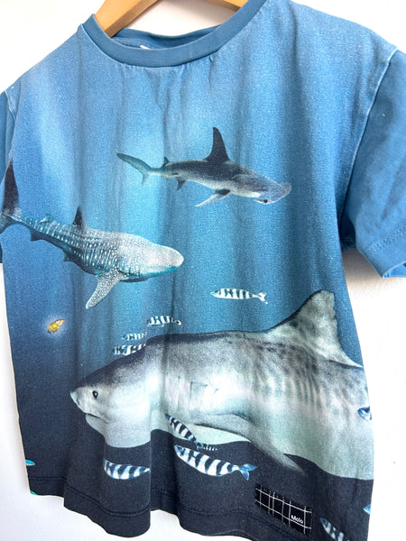 Molo Under the Sea T-Shirt • 5-6 years