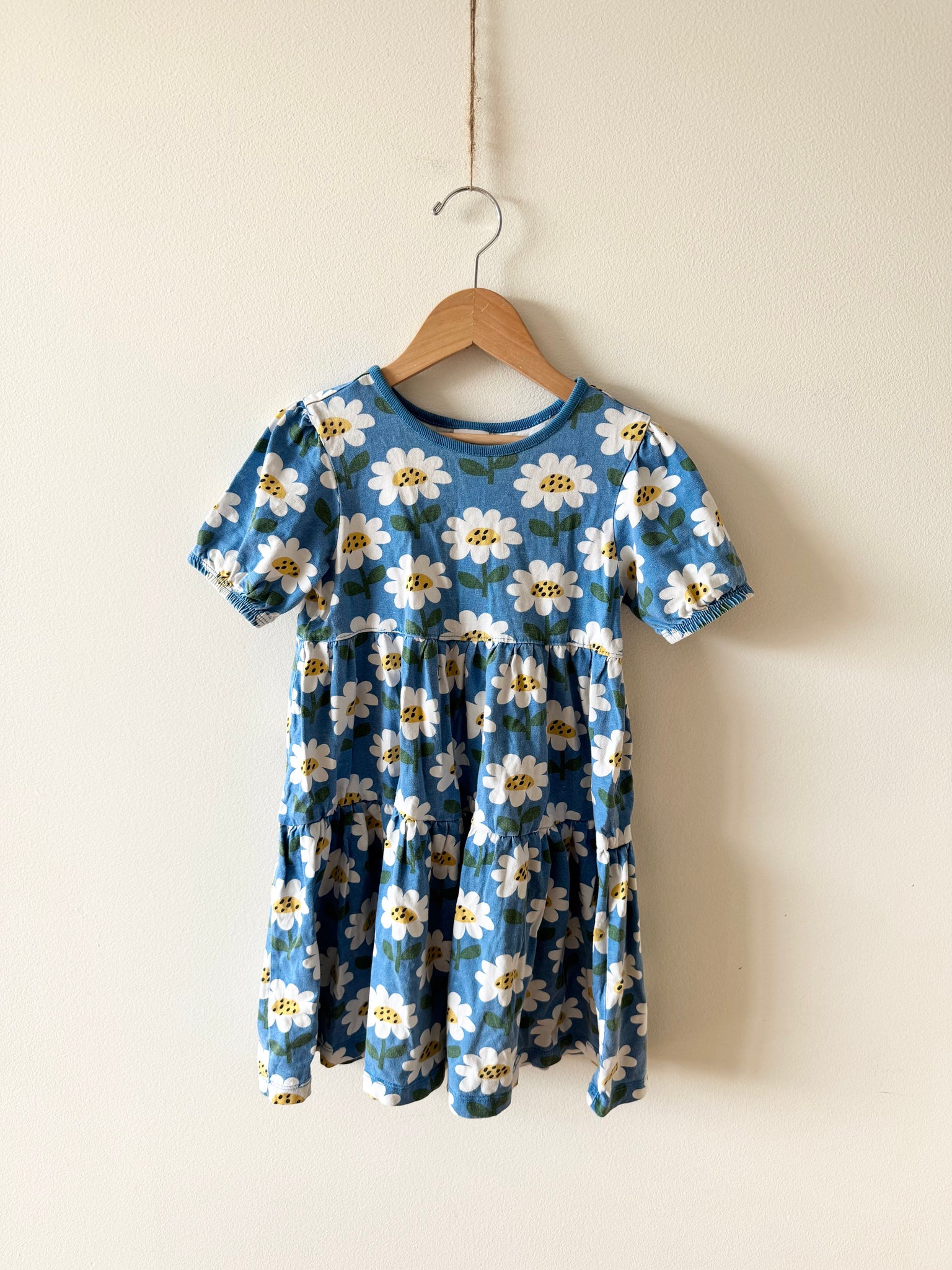 Hanna Andersson Blue Daisy Dress • 5-6 years