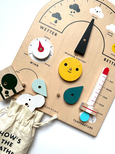 Moon Picnic Weather Station