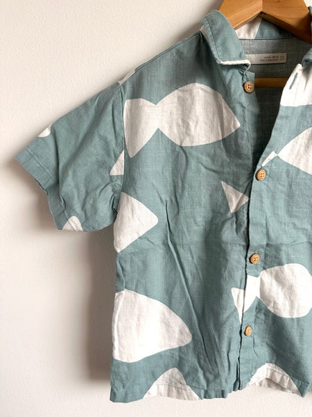 Zara Blue Button Up Shirt • 4 years