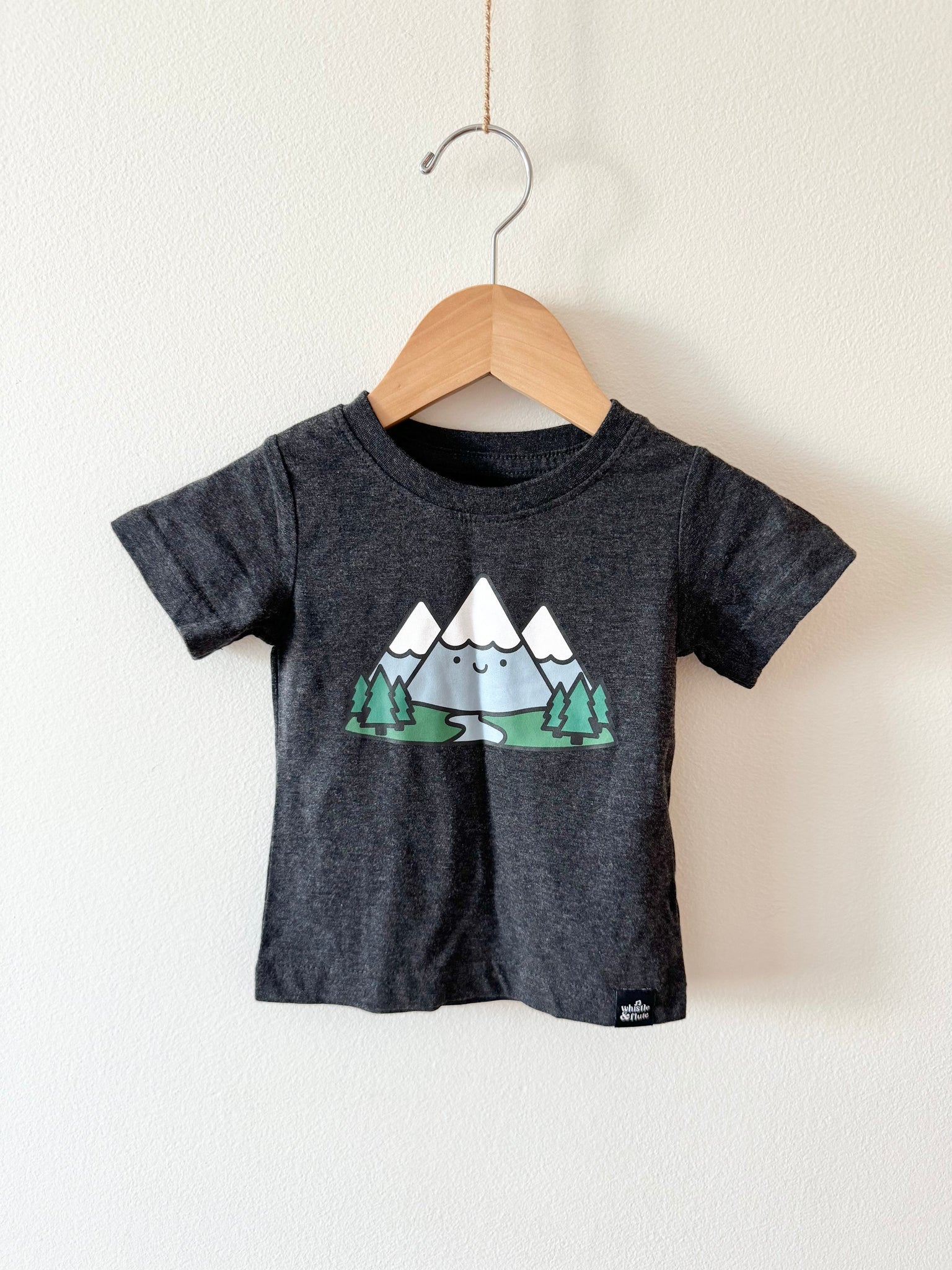 NEW Whistle and Flute Mountains T-Shirt • 3-6 months