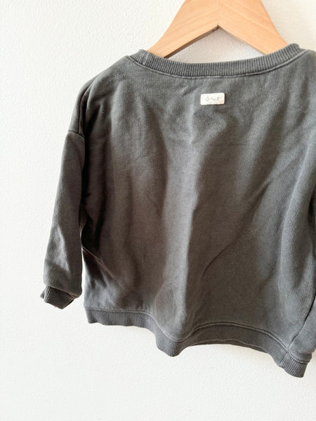 Organic Zoo Boxy Sweatshirt • 1-3 years