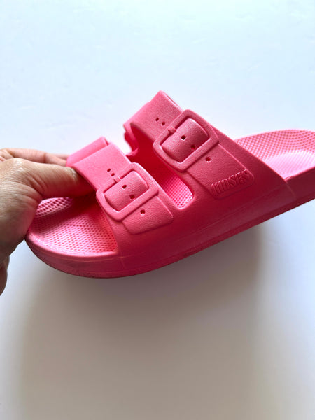 Freedom Moses Pink Slides • 12/13c (30/31)