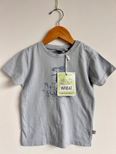 NEW Wheat Blue T-Shirt • 2 years