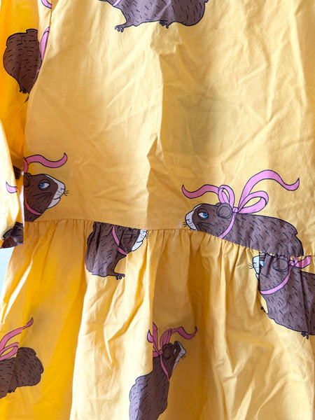 Mini Rodini Guinea Pig Dress • 3-5 years