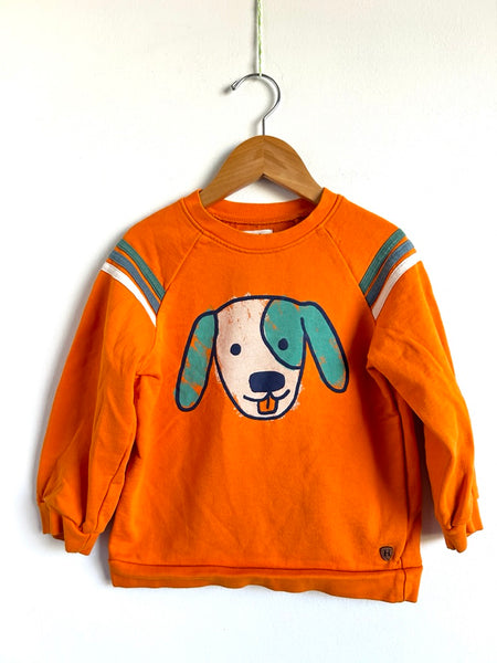 Hatley Orange Dog Crew Neck • 4 years