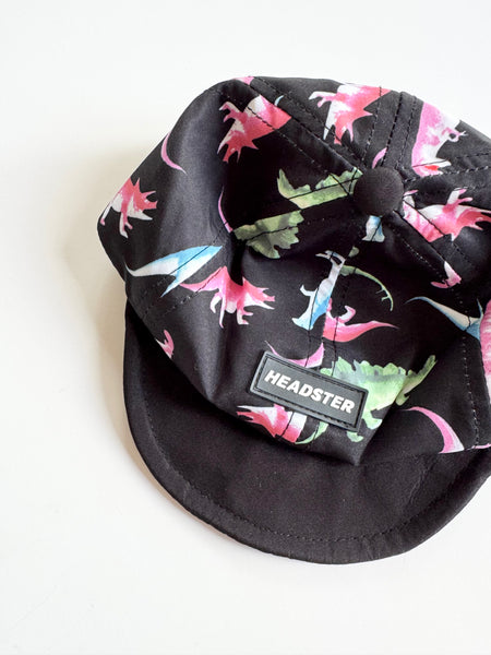 Headster Dino Infant Hat • 0-6 months