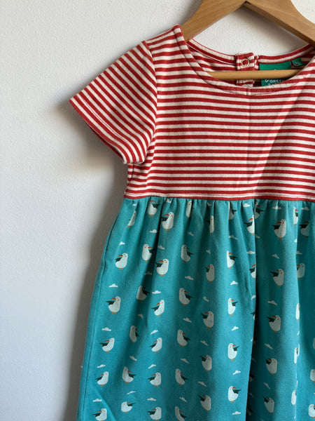 Little Green Radicals Seagull Dress • 4-5 years
