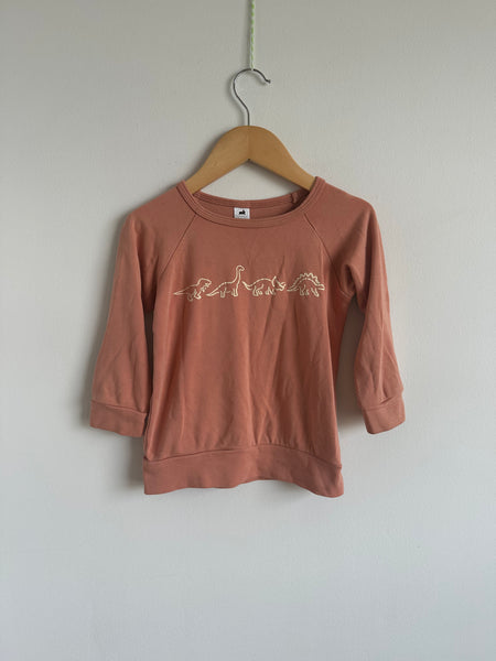 Little and Lively Pink Dinosaur Crew Neck • 3-4 years