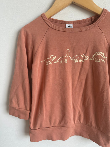 Little and Lively Pink Dinosaur Crew Neck • 3-4 years