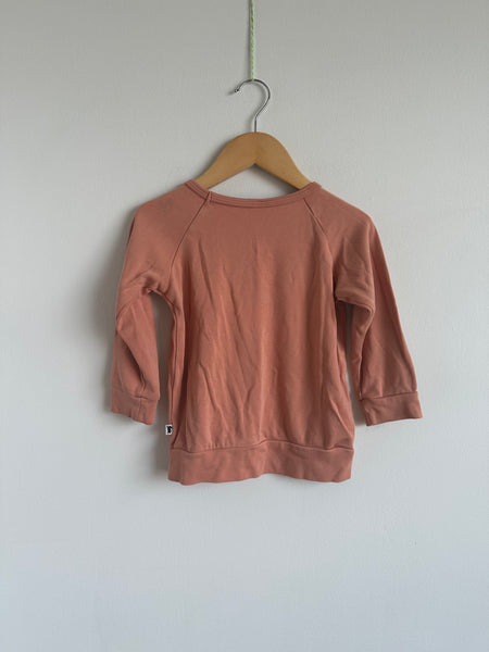 Little and Lively Pink Dinosaur Crew Neck • 3-4 years
