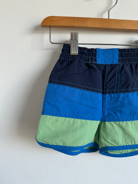 Patagonia Blue and Green Board Shorts • 3 years