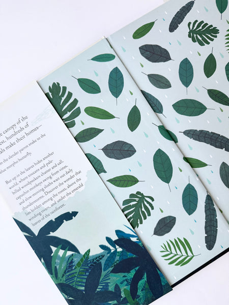 Over and Under the Rainforest • Hardcover Book