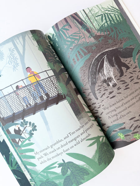 Over and Under the Rainforest • Hardcover Book