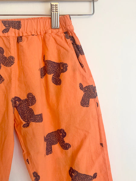 NEW Bobo Choses Orange Big Cat Pants • 4-6 years
